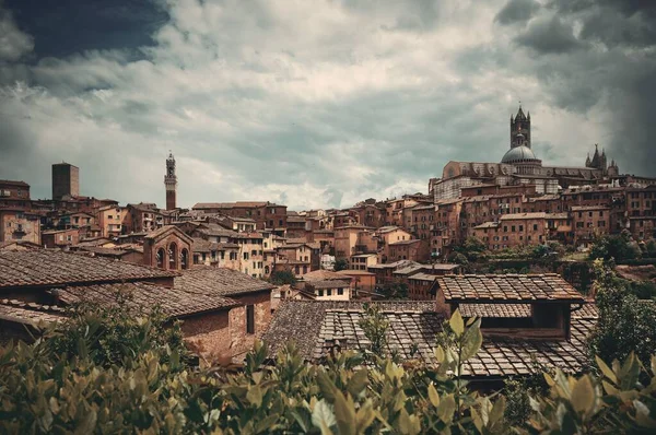 Tarihi Binaları Olan Siena Katedrali Torre Del Mangia Çan Kulesi — Stok fotoğraf