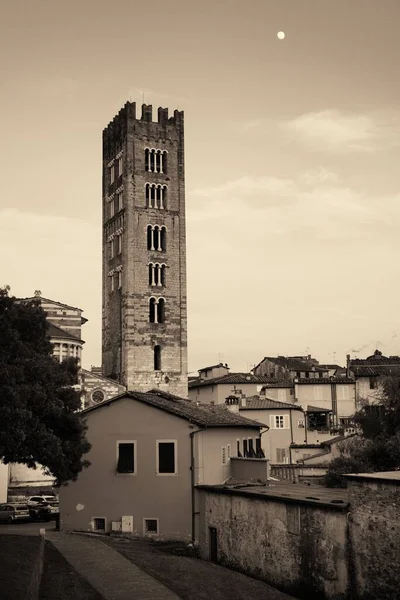 Basilica San Frediano Lucca Zabytkowymi Budynkami Włoszech — Zdjęcie stockowe