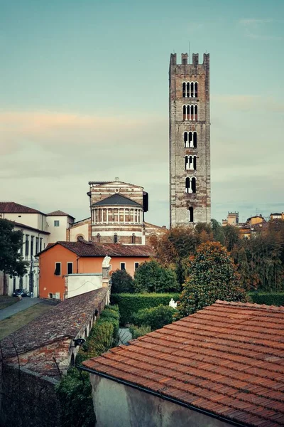 Basiliek Van San Frediano Lucca Met Historische Gebouwen Schemering Italië — Stockfoto