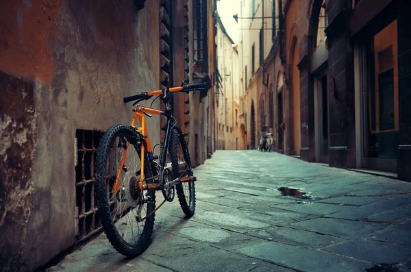 イタリアでの自転車とルッカ通りの景色 — ストック写真