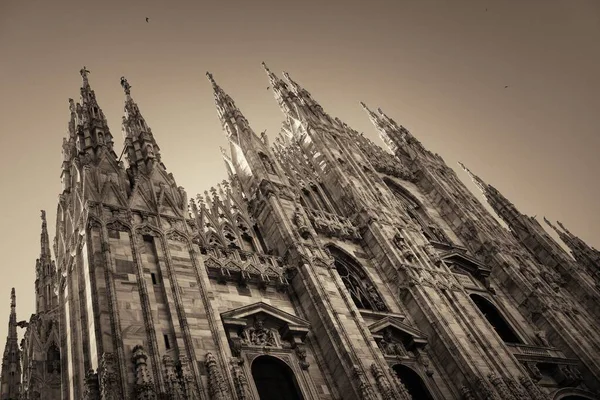 意大利米兰大教堂的特写镜头 图案精美 雕塑精美 — 图库照片