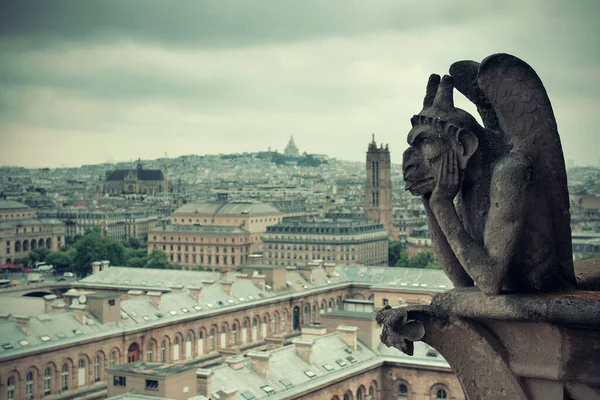 Uitzicht Het Dak Van Parijs Vanaf Notre Dame Kathedraal — Stockfoto