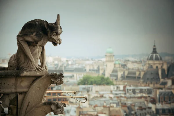 Pohled Střechu Paříže Katedrály Notre Dame — Stock fotografie