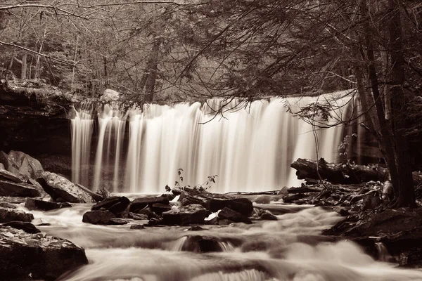 Cascadas Bosques Blanco Negro —  Fotos de Stock