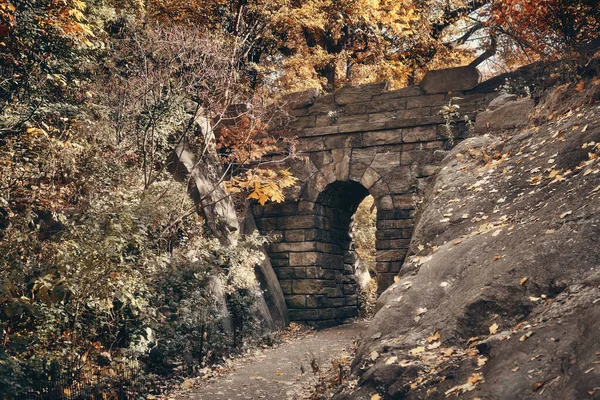 Ponte Pedra Central Park Floresta Centro Nova York Manhattan — Fotografia de Stock