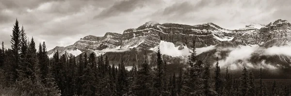 Bow Lake Panorama Con Nevada Montaña Bosque Parque Nacional Banff —  Fotos de Stock