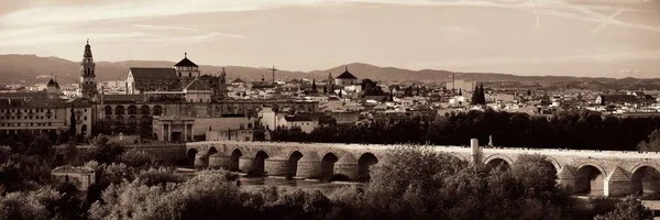 Moschee Kathedrale Alte Brücke Und Stadtsilhouette Von Córdoba Spanien — Stockfoto