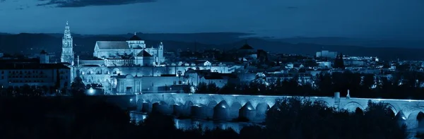 Mešita Katedrála Starobylý Most Panorama Města Cordoba Španělsku Noci — Stock fotografie