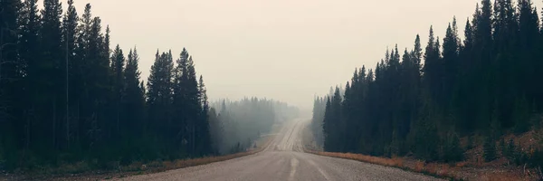 Густа Дорога Лісі Банф Національному Парку — стокове фото