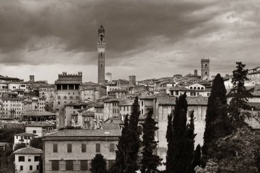 Ortaçağ kenti Siena tarihi binalar ve İtalya 'daki Belediye Zil Kulesi ile ufuk çizgisi manzarası