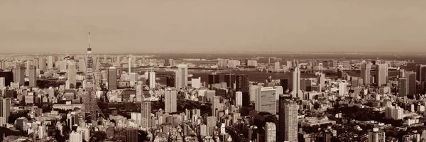 Tokyo Urban Skyline Rooftop Sunset View Japan — Stock Photo, Image