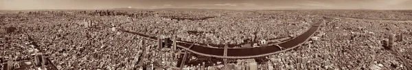 Pohled Tokijskou Městskou Panorama Střechu Řekou Fuji Japonsko — Stock fotografie
