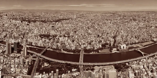 Vista Azotea Del Horizonte Urbano Tokio Con Río Japón —  Fotos de Stock