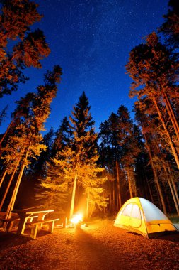 Kanada 'daki Banff Ulusal Parkı' nda yıldızlar ve şenlik ateşiyle ormanda kamp yapmak