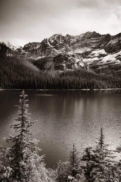 Lac Hara Parc National Yohu Canada — Photo