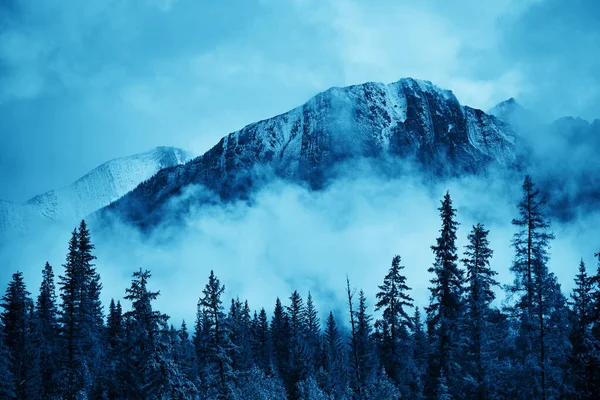 Banff Národní Park Mlhavé Hory Les Kanadě — Stock fotografie