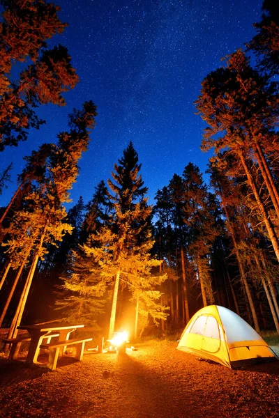 Camping Bosque Con Estrellas Hoguera Parque Nacional Banff Canadá — Foto de Stock