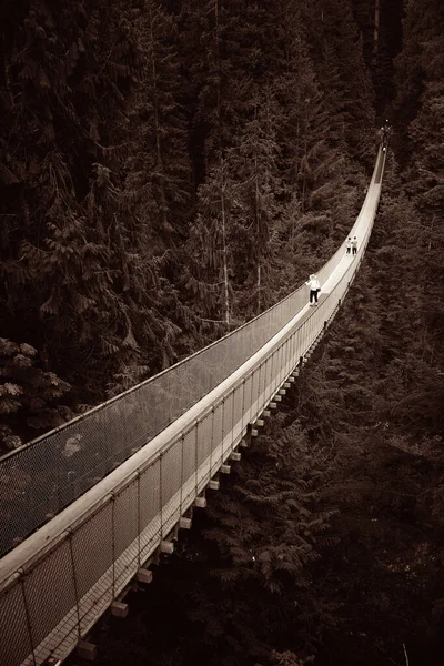 Capilano Suspension Bridge Vancouveru Kanada — Stock fotografie