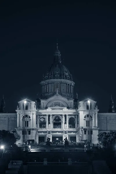 Nationales Kunstmuseum Kataloniens Placa Espanya Barcelona Spanien — Stockfoto