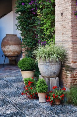 İspanya 'nın Cordoba kentindeki evin güzel çiçek süslemesi..