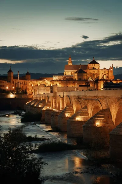 Meczet Katedra Starożytny Most Panorama Miasta Kordoba Nocy Hiszpanii — Zdjęcie stockowe