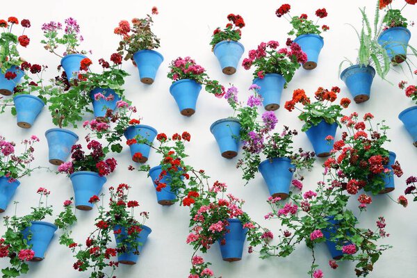 Цветочное оформление дома в испанском городе Кордова.