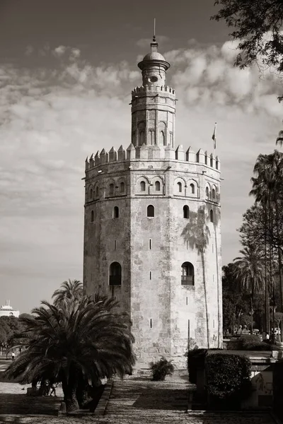 Sevilla Torre Del Oro España —  Fotos de Stock