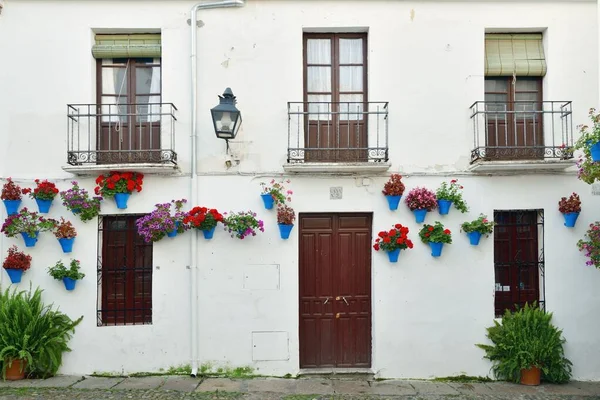 Bella Decorazione Floreale Della Casa Residente Cordoba Spagna — Foto Stock