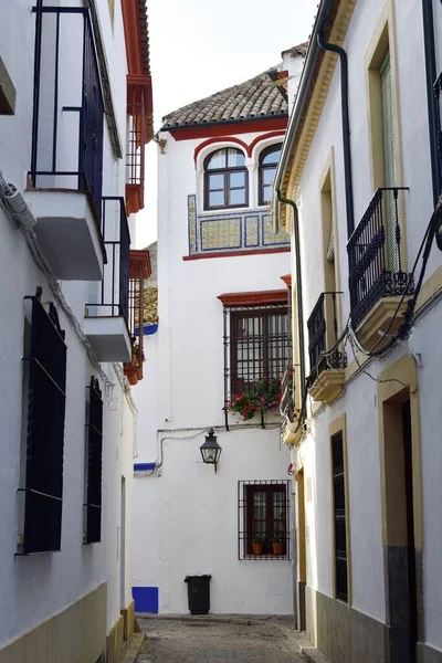 Vista Strada Con Vecchi Edifici Cordoba Spagna — Foto Stock