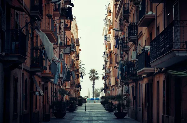 Vista Calle Árbol Solitario Barcelona España — Foto de Stock