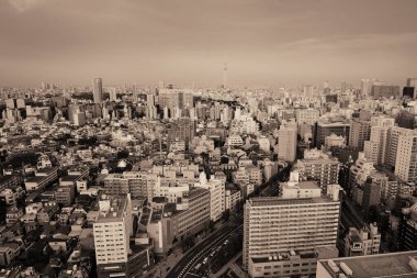Tokyo şehir manzarası çatı gün batımı görünümü, Japonya.