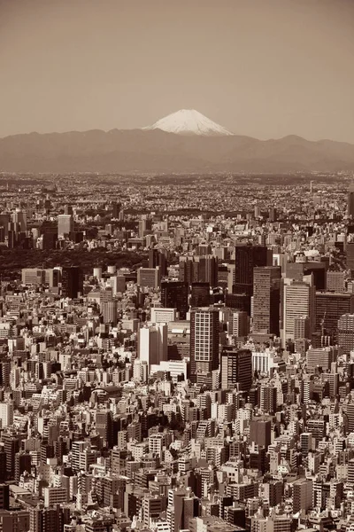 富士山と東京都のスカイライン屋上ビュー — ストック写真