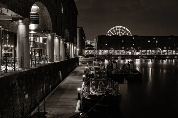Royal Albert Dock Ιστορικά Κτίρια Στην Αγγλία Ηνωμένο Βασίλειο — Φωτογραφία Αρχείου