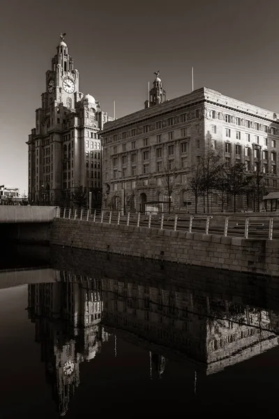 Liverpool Architecture Historique Avec Paysage Urbain Dans Centre Ville Angleterre — Photo