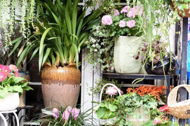 İlkbaharda güzel çiçekler