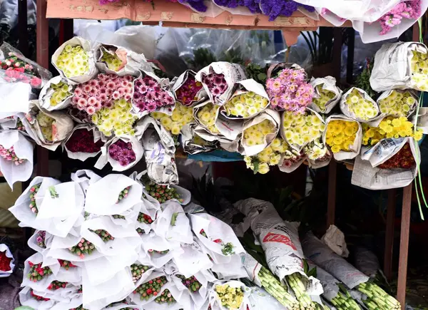 İlkbaharda güzel çiçekler — Stok fotoğraf