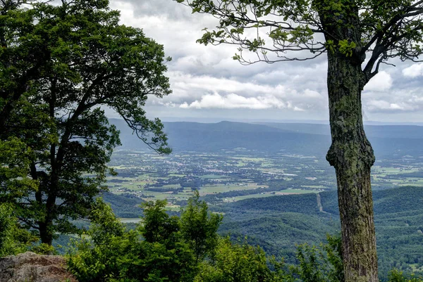 View from the Shenandoah Parkway Tree Right — Stock Photo, Image
