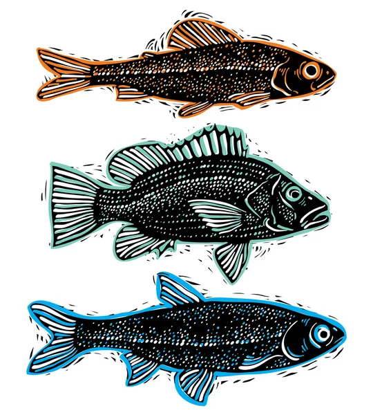 Húzott halak csoportja — Stock Vector