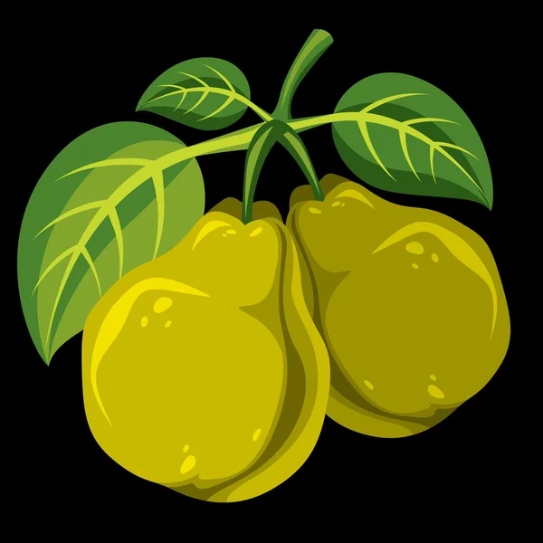 Två ekologiska söta päron — Stock vektor