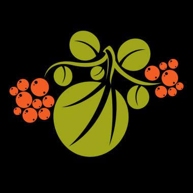 Portakal tohumu ile yeşil yaprakları 