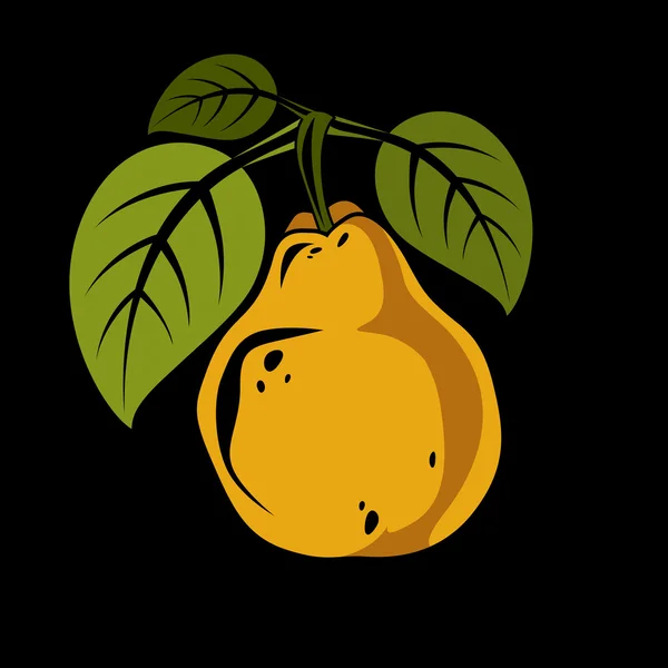 Pera de naranja dulce orgánica única — Archivo Imágenes Vectoriales