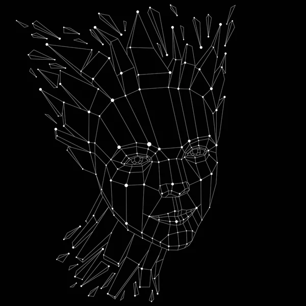 3D porträtt skapat med linjerna mesh — Stock vektor