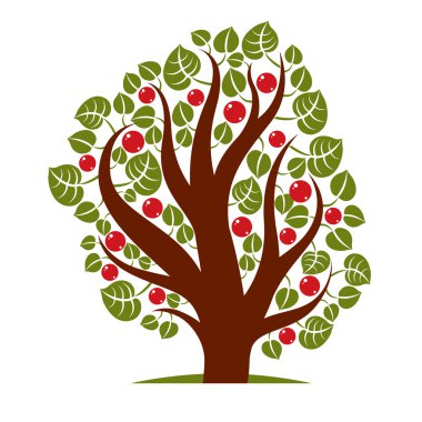 Olgun elma ile meyveli ağaç 