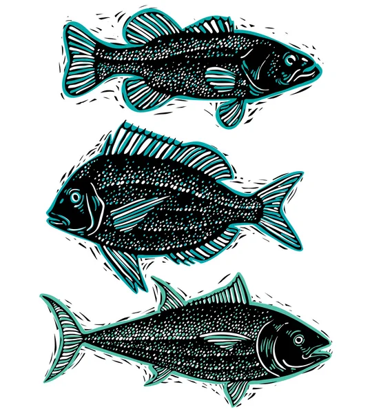 Conjunto de peces dibujados — Vector de stock