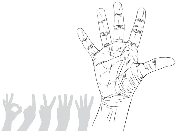 숫자 손 표시 설정 — 스톡 벡터