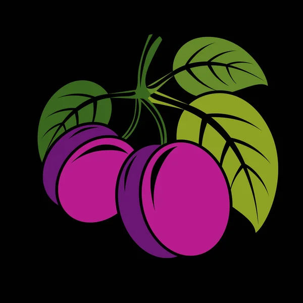 Prunes aux feuilles vertes — Image vectorielle
