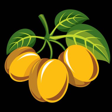 Erik yeşil yaprakları ile