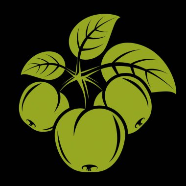 Erik yeşil yaprakları ile