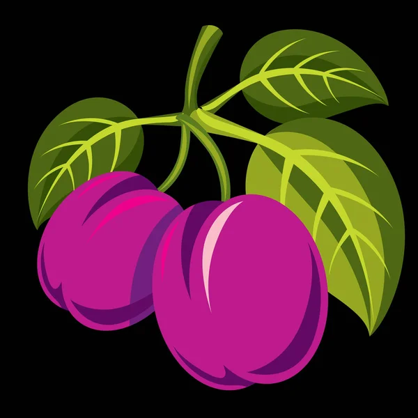 Ciruelas simples púrpuras — Vector de stock