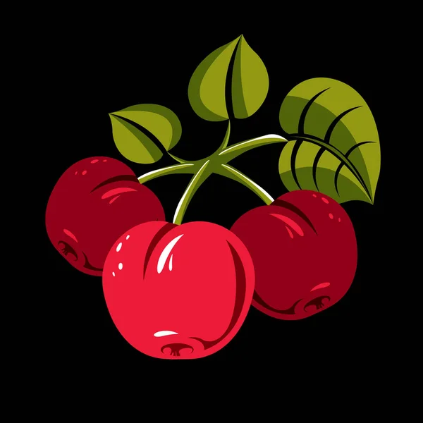 Röda enkla körsbär med gröna blad — Stock vektor